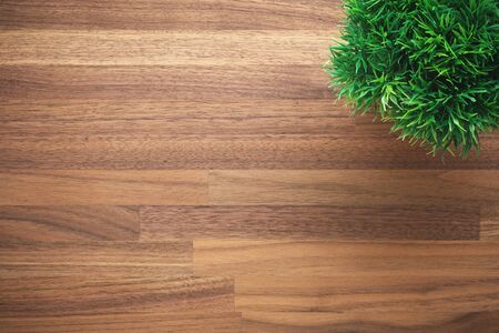 Wooden office desk background with artificial green plantの写真素材