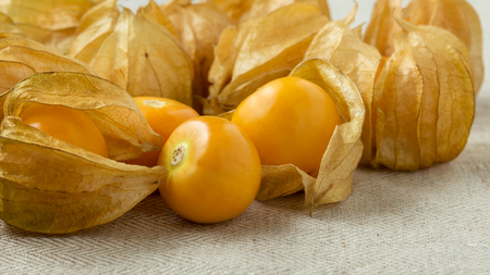 Golden berries or  physalis fruit or cape gooseberries, closeupの写真素材