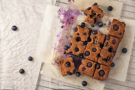 Blueberry square bars on paper baking sheet with blueberries, paleo low carb dessert, top view