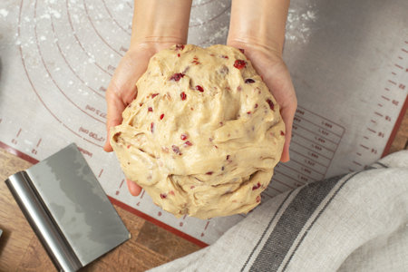 Woman hand holding bread dough with cranberry, top view