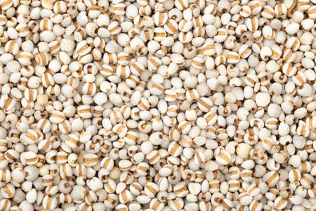 Pearl barley closed up texture and backgroundの写真素材