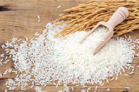 Jasmine rice in wooden scoop with rice paddyの写真素材