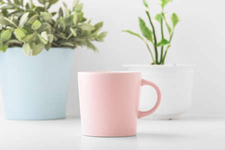 Pastel pink mug on white desk with plant in potsの写真素材