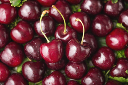 Cherry background, big cherries, top view