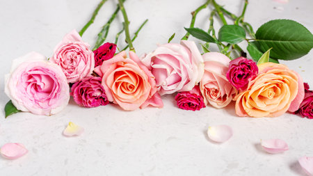 Roses on white marble table, pastel valentines day backgroundの写真素材