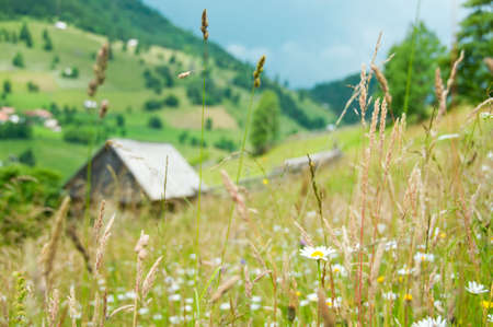 Rural landscape with small house in the backgroundの写真素材