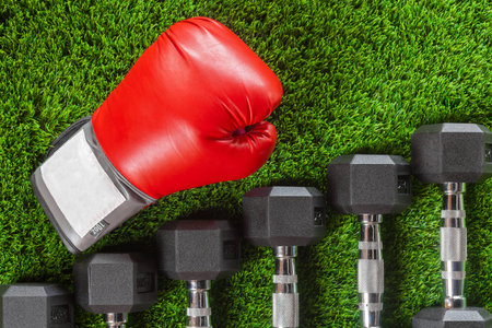 Dumbbells, boxing gloves on green artificial grassの写真素材