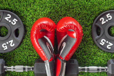 Red boxing gloves and dumbbells on the grassの写真素材