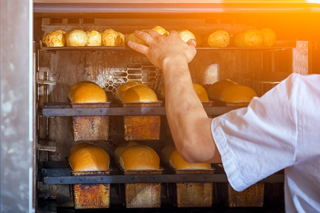 A male baker in white uniform and a beige apron bakes bread and takes cheese buns from an industrial oven. Work at the bakeryの写真素材