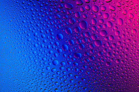 Close up of a water drops on a pink and blue gradient background, covered with drops of water...