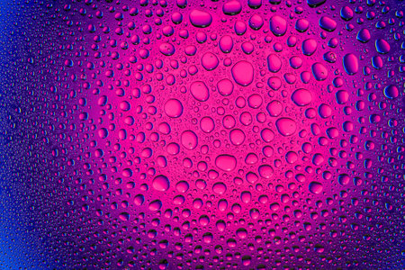 Close up of a water drops on a pink and blue gradient background, covered with drops of water...