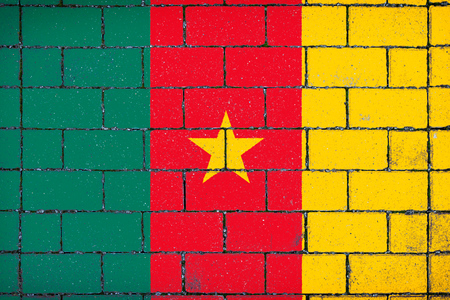 National flag of  Cameroon against a background of a stone background covered with mossの写真素材