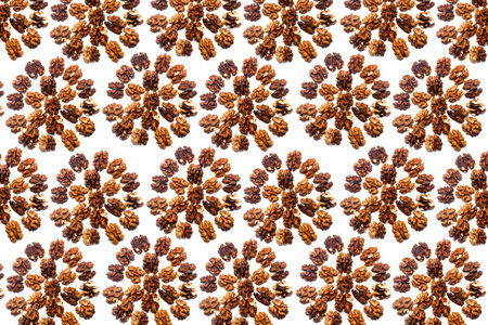 A collection of peeled walnuts lie in the shape of a circle or sun on an isolated white background...