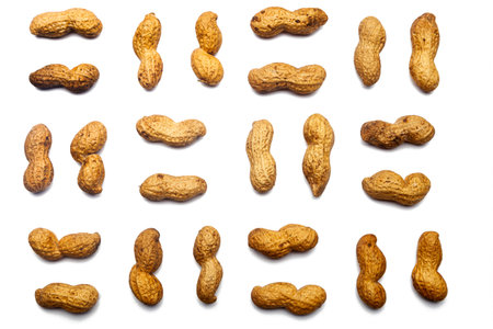 A collection of  unpeeled peanuts lie in horizontal rows on an isolated white background. with...