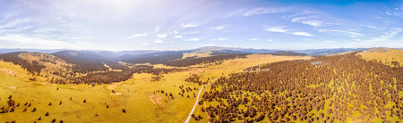 Panorama of the mountains  in Altai on a summer clear day. A landscape view of beautiful fresh green...