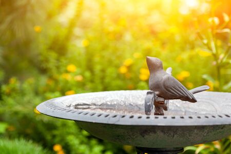 Decorative decoration of the garden. Ceramic pot with a statue of a small metal bird drinking water. green grass in the backgroundの写真素材