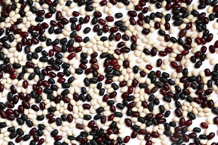 Pattern of Colorful beans  on a white background. Concepts about decoration, healthy eating and food background.の写真素材