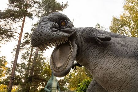 A portrait of a large gray adult tyrannosaurus, which predatoryly dug its large jaw with fangs and prepared for an attack, a bottom view against the sky and trees. Dinosaur worldの写真素材