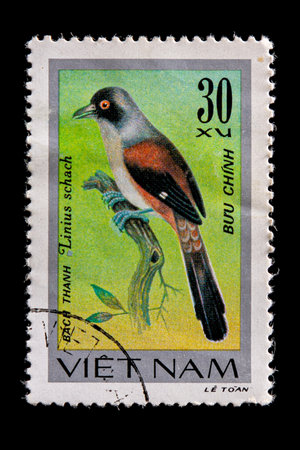 Novosibirsk, Russia - January 07, 2020: stamp nature collection printed in  Vietnam shows adult Garrulax formosus   sits on a branch   ,  a postage stampのeditorial素材