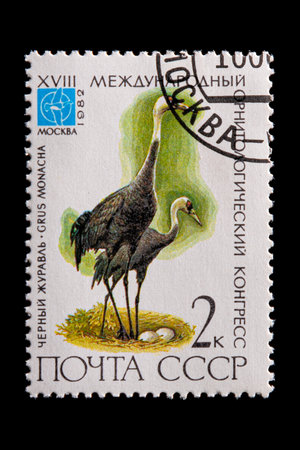 Novosibirsk, Russia - January 07, 2020: stamp bird collection printed in USSR  shows two black cranes stand in their nest next to two eggs in the white background,  a postage stamp circa 1982のeditorial素材