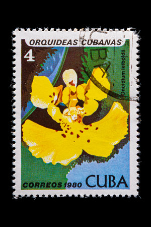 Novosibirsk, Russia - January 07, 2020: stamp wild flowers collection printed in Cuba  shows yellow flower orchid with leaves,  a postage stamp circa 1980のeditorial素材
