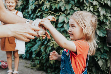The little girl laughs cheerfully and touches the little yellow chicken on the farm. Contact petting zoo, the concept of communication between a child and animals.の写真素材