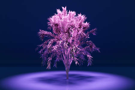 3D illustration of a large deciduous tree under pink and blue light with several shadows on a purple background, side view. Artificial fantasy treeの写真素材
