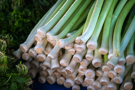 Close-up of green vegetable for background, onion texture. Green leeks on the showcase of the...