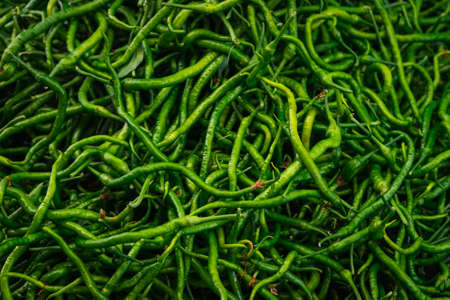 Close-up green vegetable for background, green pepper texture. Green chili peppers form a natural shape. Fresh raw vegetablesの写真素材