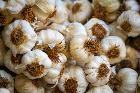 Young garlic in box, background. Fresh garlic variety grown in the shop. Tasty and healthy food