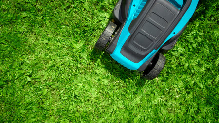 Close-up electric lawn mower, mowing grass, lawn, paths. Gardener trimming the garden.