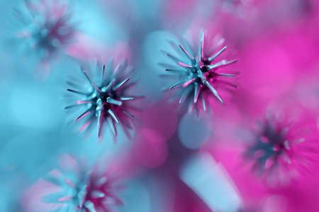 3D illustarion pink freeform on blue and pink isolated illustration. Illustration of a virus. 3d illustration concept coronavirus COVID-19.の写真素材