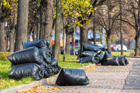 Black plastic garbage bags in the autumn park, general cleaning. Leaves and trash in bags.