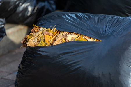 close up of the black plastic garbage bags in the autumn park, general cleaning. Leaves and trash in...