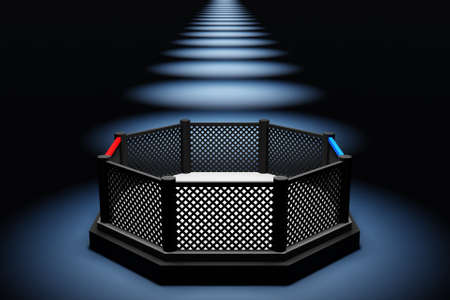 3D illustration MMA octagon on the light on black background. Fighting Championship. Fight night.の写真素材