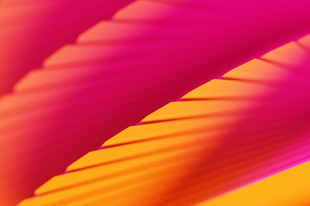 3d Illustration rows of orange and pink line. Geometric background, weave pattern.