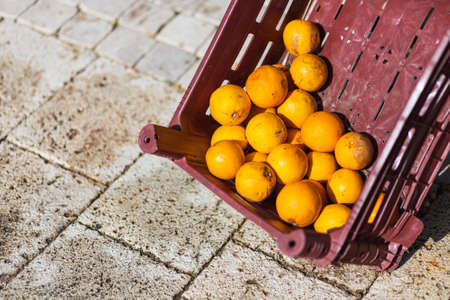 Oranges in box, background. Fresh oranges variety grown in the shop. oranges suitable for juice, strudel, oranges puree, compoteの写真素材