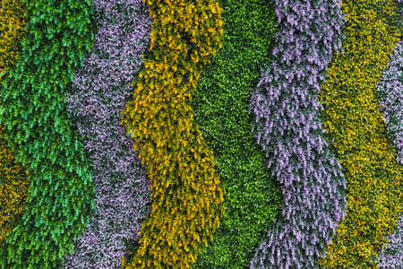 artificial purple bouquet with a variety of colors. hydrangeas, leaves, orchids. background of flowersの写真素材