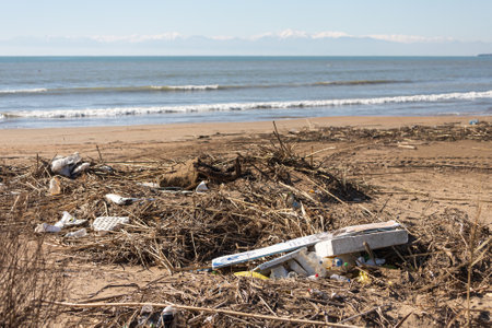Various garbage on the beach: plastic bottles, paper, broken branches and others on the background of the sea. Pollution of the world's oceansの写真素材