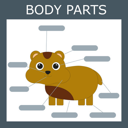 Write down the body parts of the hamster. Educational game for kids.のイラスト素材