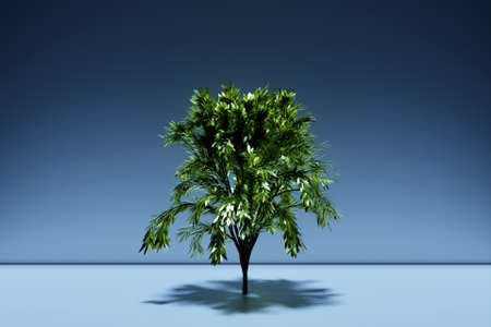 3d illustration of realistic green decorative tree isolated on blue background. Stylized deciduous treeの写真素材