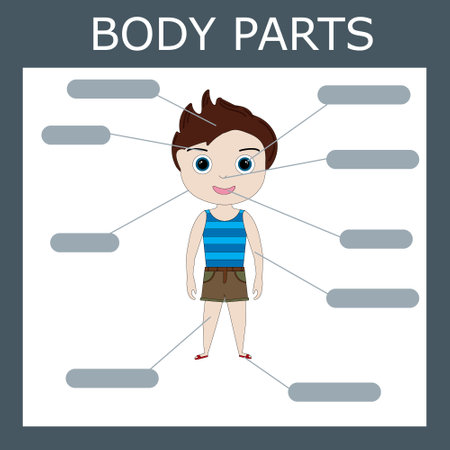 Write down the body parts of the boy. Educational game for kids.のイラスト素材