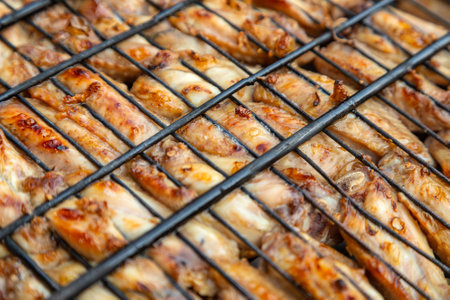 Chicken on the grill - paleo food photography.Delicious chicken steak, hot barbecue grill.Roasted chicken leg Grilled, BBQの写真素材