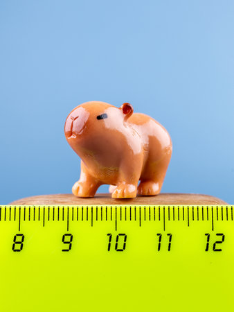 Close-up of a small, cute figurine in the shape of a brown capybara, placed on a wooden podium.の写真素材