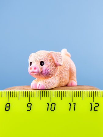 Close-up of a small, cute figurine in the shape of an adorable piglet with a tail, placed on a wooden podiumの写真素材
