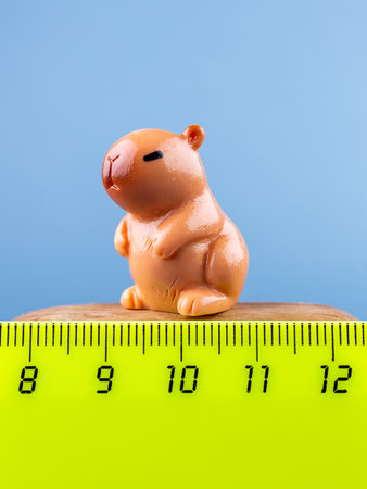 Close-up of a small, cute figurine in the shape of a brown capybara, placed on a wooden podium.の写真素材