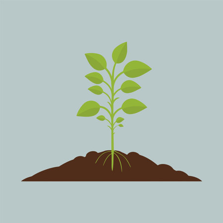 Green sprout growing from the ground. Vector illustration in flat styleのイラスト素材