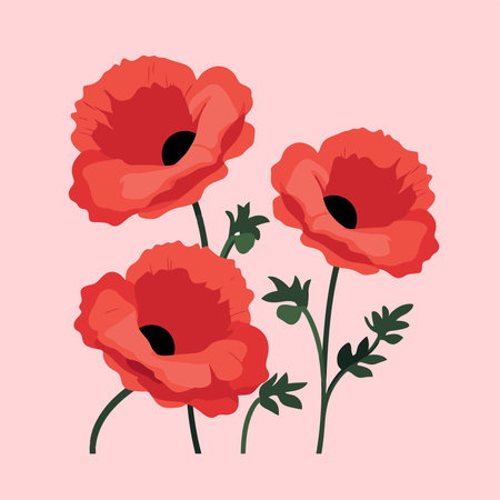 Red poppies on a pink background. Vector illustration in flat style.のイラスト素材