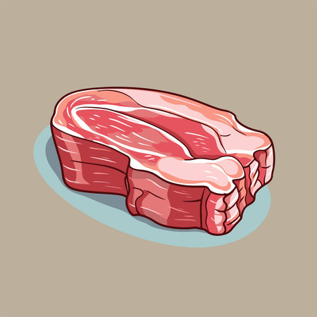 Vector illustration of a piece of pork meat on a white background.のイラスト素材
