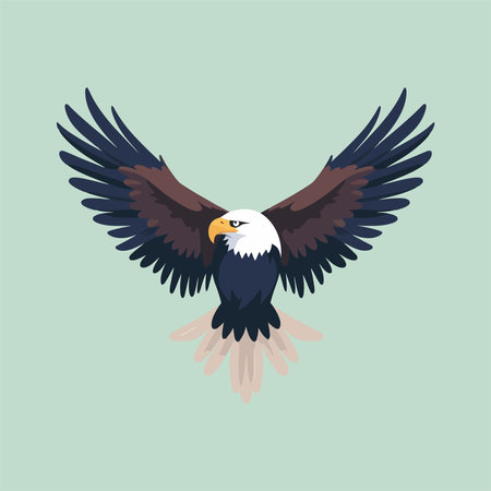Bald Eagle. Bird of prey. Vector illustration in flat styleのイラスト素材
